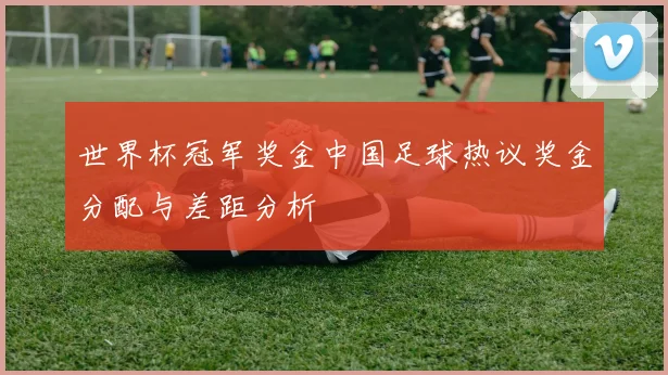 世界杯冠军奖金中国足球热议奖金分配与差距分析