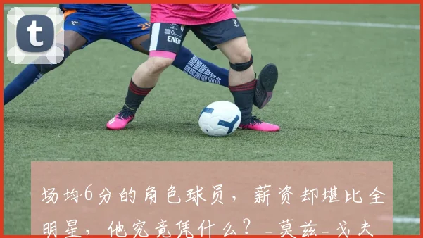 场均6分的角色球员，薪资却堪比全明星，他究竟凭什么？_莫兹_戈夫_考辛斯