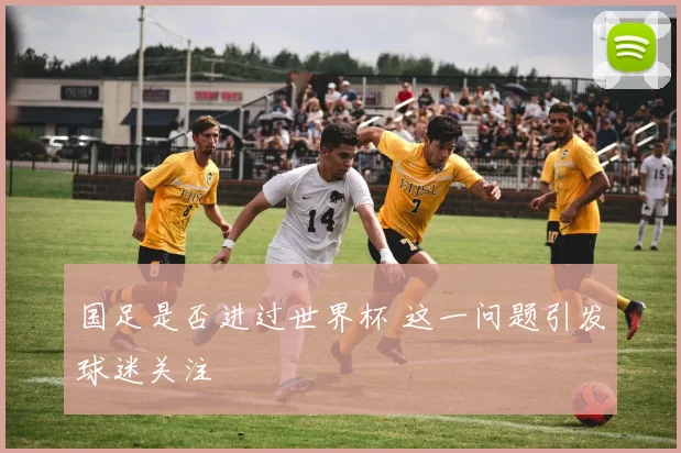 国足是否进过世界杯 这一问题引发球迷关注