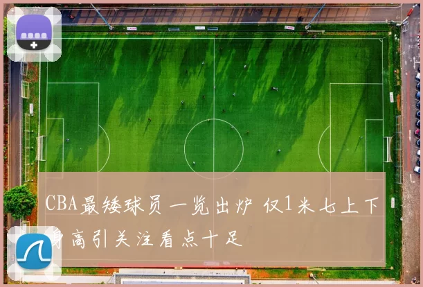 CBA最矮球员一览出炉 仅1米七上下身高引关注看点十足