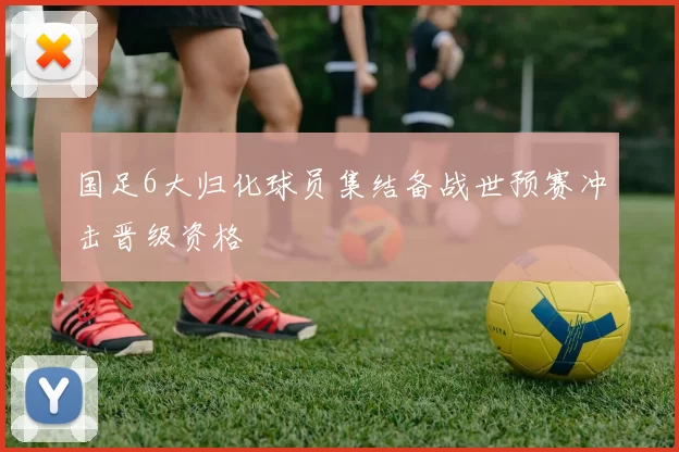 国足6大归化球员集结备战世预赛冲击晋级资格